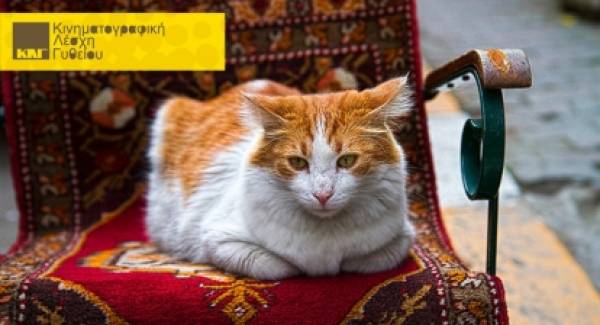 Προβολή στη Λέσχη Γυθείου «Οι γάτες της Κωνσταντινούπολης»