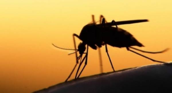 Kαταγγελία: «Προκαλεί η Περιφέρεια Πελοποννήσου για την κουνουποκτονία»