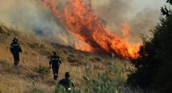 Πυρκαγιά στη Μάνη έκαψε ήδη 50 στρέμματα