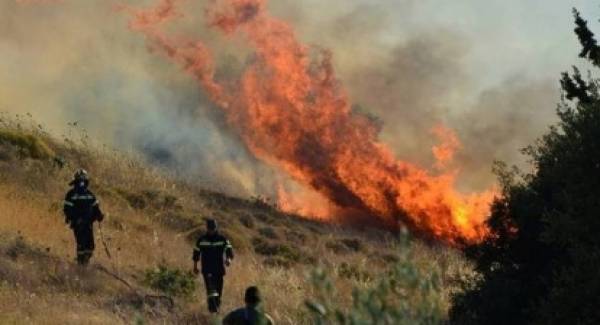 Φωτιά καίει 40 στρέμματα δασικά στα Νόμια Μονεμβάσιας
