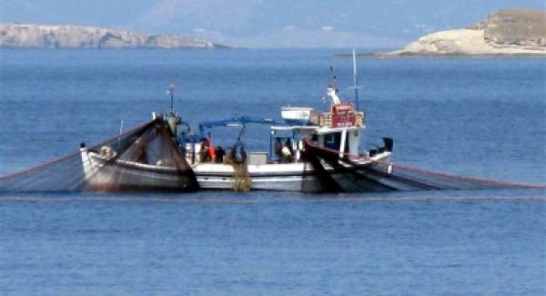 Kυρώσεις για παραβάσεις αλιείας με βιντζότρατα και αλιείας πελαγικών ψαριών