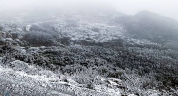 Χιόνι και κρύο στα Βελανίδια Λακωνίας