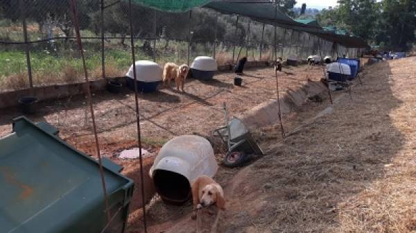 Δίχτυ σκίασης για τα ζώα συντροφιάς στο καταφύγιο Ξηροκαμπίου