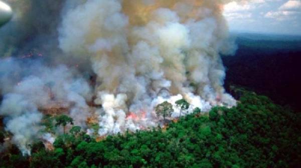 Ο Αμαζόνιος καίγεται: Ο αληθινός φόβος για την ανθρωπότητα…