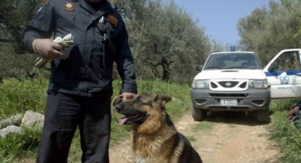 Συλλήψεις για ναρκωτικά και λαθραία τσιγάρα σε Άργος, Κόρινθο, Καλαμάτα και Τρίπολη