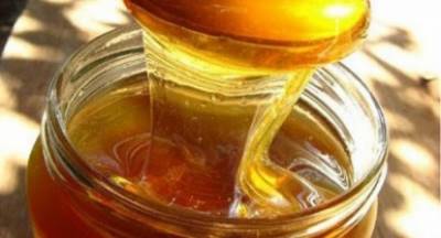 Σεμινάρια για το λάδι και το μέλι στη Σπάρτη