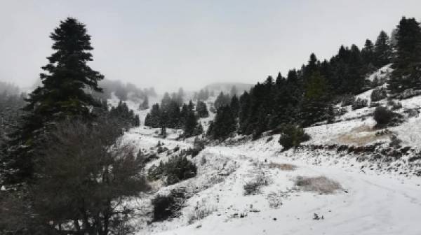 Τα πρώτα χιόνια έπεσαν στο χιονοδρομικό του Μαίναλου (photos)