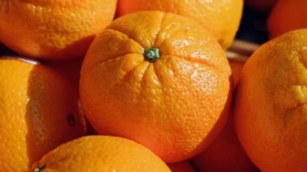 Πορτοκάλια Ναβαλίνες: Μειωμένη παραγωγή καλές τιμές και ζήτηση για εξαγωγές
