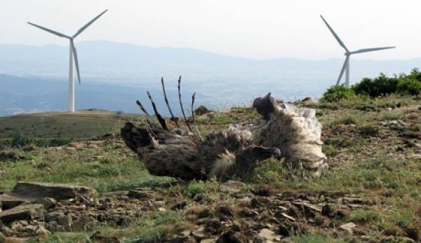 Μάνη: Καταγγελία στην Ευρωπαϊκή Επιτροπή για τα Αιολικά Πάρκα εντός προστατευόμενων περιοχών Natura 2000
