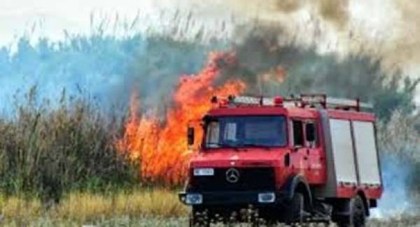 Προκάλεσαν πυρκαγιά από αμέλεια σε Ναύπλιο, Τροιζήνα και Λακωνία και συνελήφθησαν!