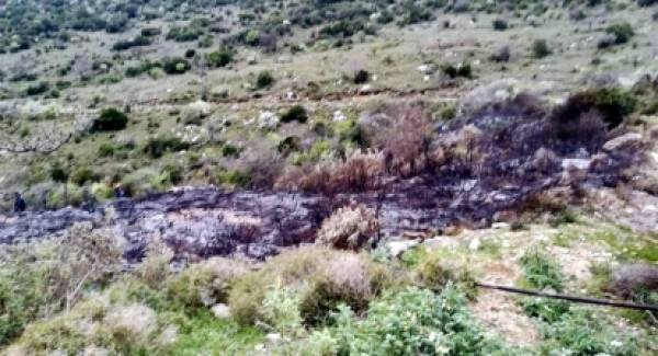 Πυρκαγιά καίει 5 στρέμματα στο Ελληνικό Τριφυλίας