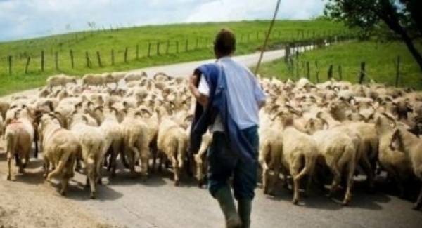 Αγρότες και κτηνοτρόφοι διαμαρτύρονται την Τρίτη στο Διοικητήριο Λακωνίας