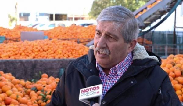 ΑΣΕΕΑ Λακωνία: «Ο κορωνοϊός απορροφά στις εξαγωγές ακόμα και το πορτοκάλι του χυμού..!»