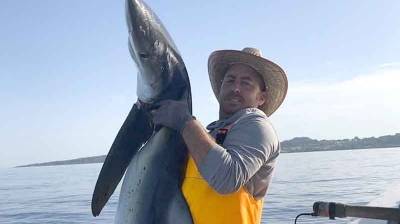 Ψάρεψε μπλε καρχαρία 2 μέτρων στη θάλασσα της Ηλείας