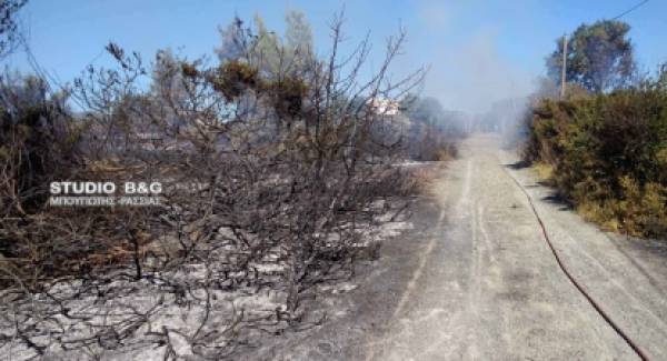 Πυρκαγιά στην Πετροθάλασσα Ερμιονίδας (photos)