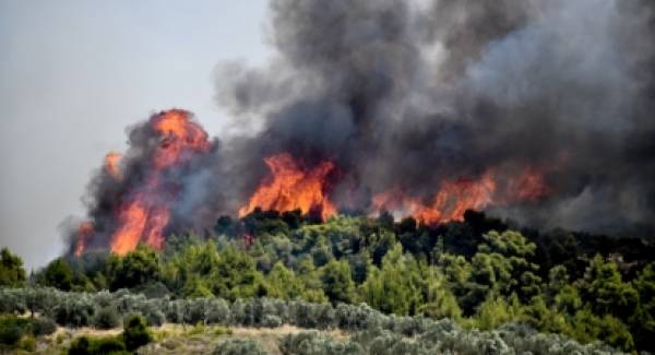 Τεράστια καταστροφή στις Κεχριές. Πάνω από 30.000 στρέμματα έχουν καεί