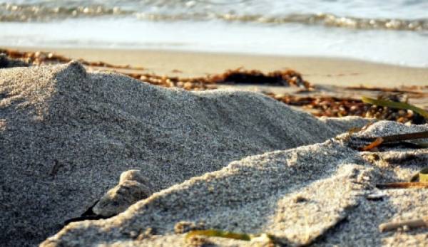 SOS: Εκατοντάδες χελωνάκια caretta caretta κινδυνεύουν από την φωτορύπανση του Λακωνικού κόλπου