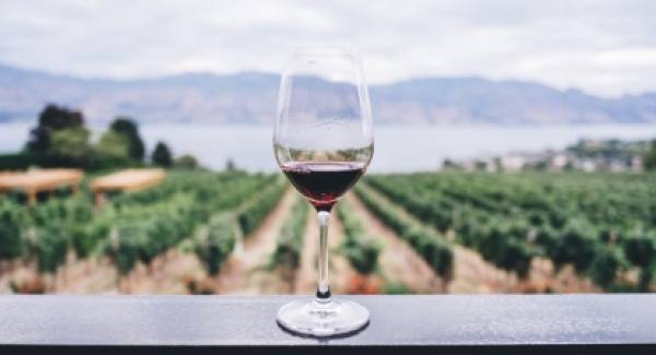 Ταξίδι με ξεναγό το κρασί της Πελοποννήσου