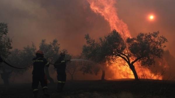 Προσοχή! Υψηλός κίνδυνος πυρκαγιάς σήμερα σε 5 νομούς της Πελοποννήσου