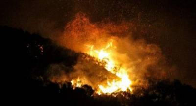 Μεσσηνία: Δασική πυρκαγιά στην περιοχή Χρυσοκελαριά