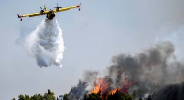 Ηλεία: Πυρκαγιά σε δασική έκταση (video)