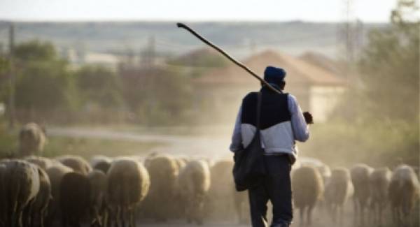 Αναγνωστοπούλου: Τέλος η κοροϊδία στους κτηνοτρόφους