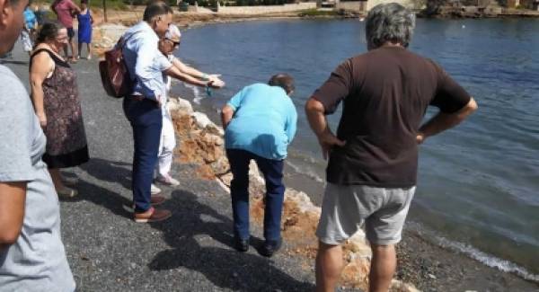 Κρητικός: «Άμεσες ενέργειες για την παραλία του Ξιφιά Λακωνίας»