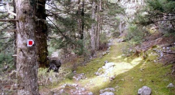 Ο Σύλλογος Πεζοπόρων - Ορειβατών Καλαμάτας «Ο Ευκλής» στο μαγευτικό φθινοπωρινό Μαίναλο