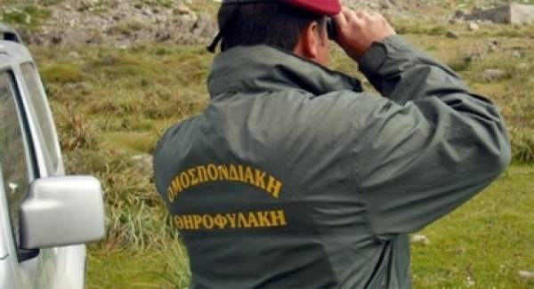 Κυνηγετικός Σύλλογος Μολάων: Αυστηροποιείστε τις ποινές της λαθροθηρίας