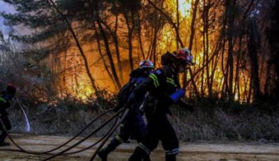 Ενισχύονται οι δυνάμεις στη πυρκαγιά που καίει δάσος του Πάρνωνα!