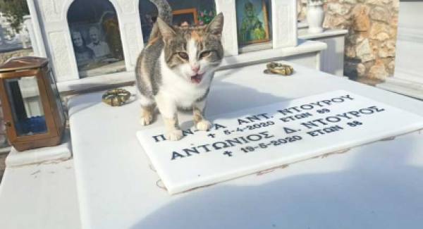 Το γατάκι που δεν φεύγει από τον τάφο των γερόντων που το είχαν… (video)