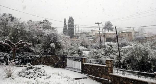 Σε ετοιμότητα ο Δήμος Άργους Μυκηνών λόγω της χιονόπτωσης στα ορεινά