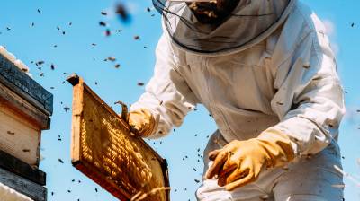 Καταληκτική ημερομηνία ένταξης μελισσοκόμων σε Δράσεις