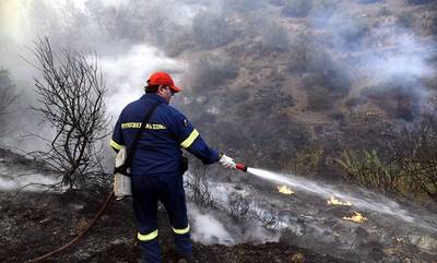 60 στρέμματα έκαψε η φωτιά σε  Αλαγονία και Νέδουσα Ταϋγέτου