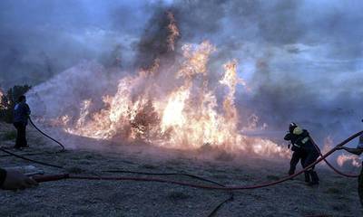 Πυρκαγιά σε δασική έκταση στη Ζαραφώνα Λακωνίας