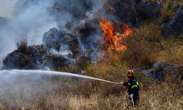 Συνελήφθη αγρότης για την φωτιά στα Χρύσαφα Σπάρτης