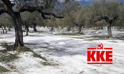 To χαλάζι στα χωράφια της Πελοποννήσου στη Βουλή από το ΚΚΕ