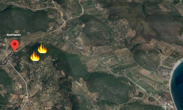 Πυρκαγιά στη Μάνη, καίει αγροτοδασικά κοντά στο Σκουτάρι (photos)