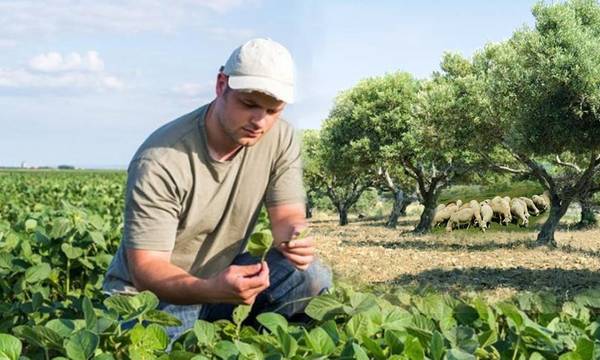 Μέτρα στήριξης εγκατάστασης Νέων Αγροτών στον Δήμο Γορτυνίας