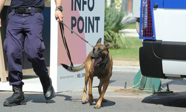 Με αστυνομικό σκύλο οι αστυνομικές δυνάμεις της Σπάρτης εξάρθρωσαν εγκληματική οργάνωση στην Αθήνα