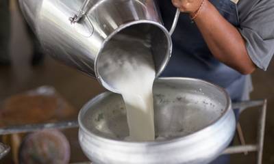 Λύθηκε το πρόβλημα της συνδεδεμένης ενίσχυσης στο γάλα