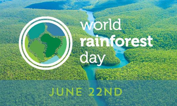 22 Ιουνίου: Παγκόσμια Ημέρα Τροπικών Δασών