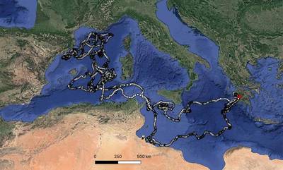Απίστευτο! Caretta caretta πλέει σε όλη την Μεσόγειο αλλά γεννά στην Κυπαρισσία!