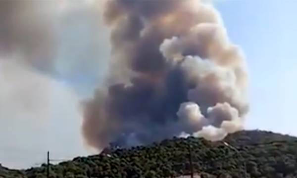 Συναγερμός στην Πυροσβεστική: Φωτιές σε Επίδαυρο και Κόρινθο (video)