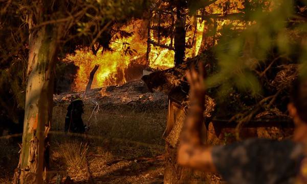 Φωτιά στην Αχαΐα: Ολονύχτια μάχη με τις φλόγες - Κάηκαν σπίτια, 16 άτομα τραυματίστηκαν