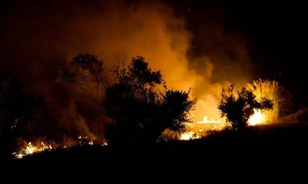Αναστασόπουλος: «Εξαιρετικά δύσκολη η κατάσταση με τις φωτιές στη Μεσσηνία»