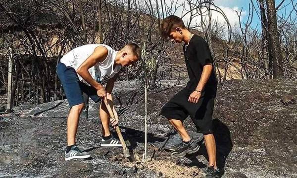 Παιδιά φύτεψαν το πρώτο δένδρο στην καμένη Ολυμπία! Όλη η Ελλάδα κάνει like!