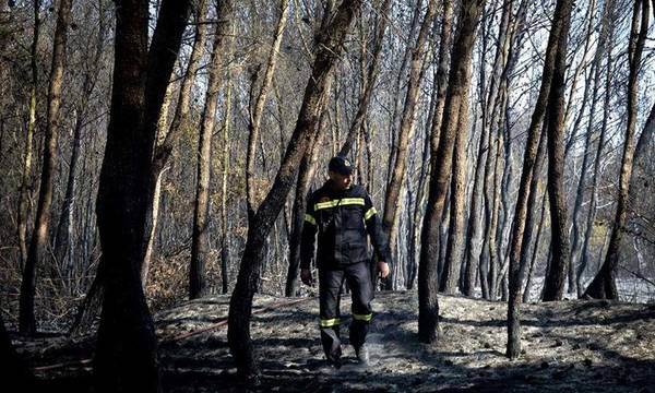 Ουσιαστική προστασία των Δασών από τις πυρκαγιές – Οι Προτάσεις του ΟΙΚΟ.ΣΥ. Λακωνίας