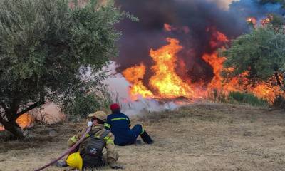 Η ενημέρωση της Πυροσβεστικής Υπηρεσίας για τις πυρκαγιές στην Πελοπόννησο
