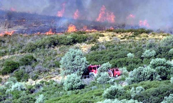 Οι 3 πυρκαγιές στην Πελοπόνησο καίνε ακόμα!